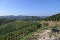 VBS_5670 - C'è un mare di velluto verde! E tu che sognavi di andare lontano... Quanta meraviglia, quì!